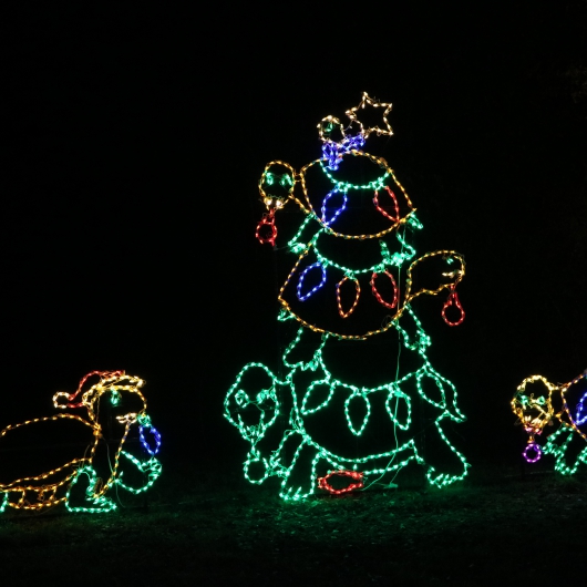 Lights of Love:  20 Years of the Lewis Light Show